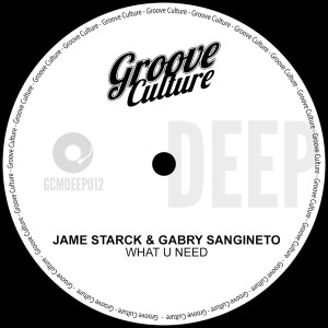Dengarkan What U Need (Extended Mix) lagu dari Jame Starck dengan lirik