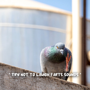 收聽Fart Sound Effect的poop sounds歌詞歌曲