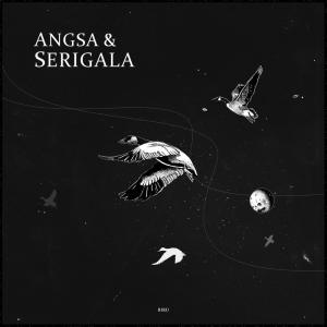 Album Biru from Angsa