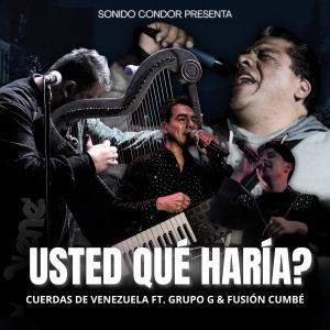 ดาวน์โหลดและฟังเพลง Usted Qué Haría (feat. Grupo G & Fusión Cumbé) พร้อมเนื้อเพลงจาก Grupo Cuerdas de Venezuela Oficial