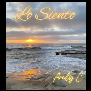 收聽Arely C的Lo Siento歌詞歌曲