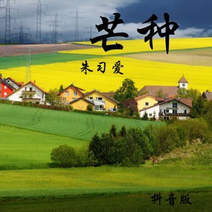 收聽朱習愛的芒種 (抖音版)歌詞歌曲