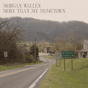 ดาวน์โหลดและฟังเพลง More Than My Hometown พร้อมเนื้อเพลงจาก Morgan Wallen