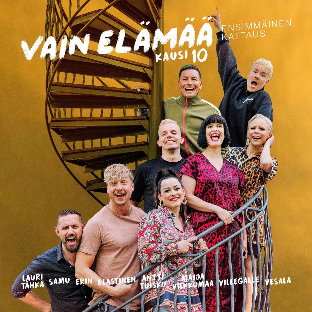 Pikkuveli (Vain elämää kausi 10)