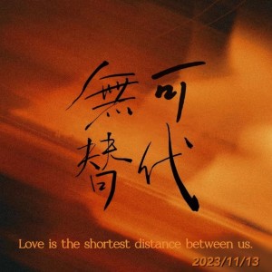 Album 無可替代 · u from 寒武纪的大熊猫