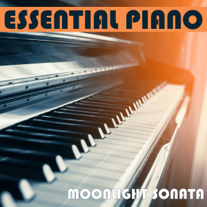 Listen to My Heart Will Go On song with lyrics from Essential Band