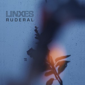 ดาวน์โหลดและฟังเพลง Romper พร้อมเนื้อเพลงจาก Linxes