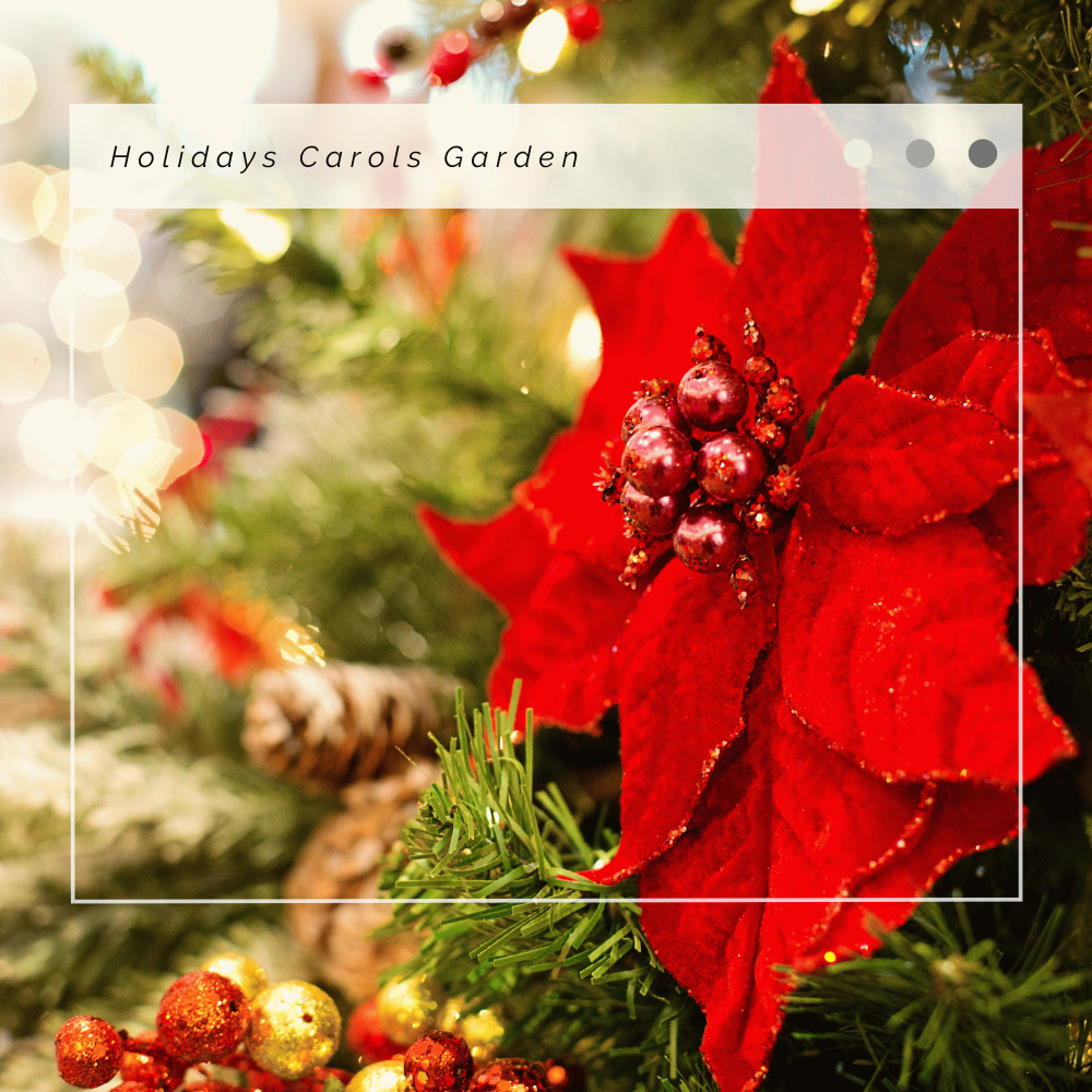 Away In A Manger: Classics