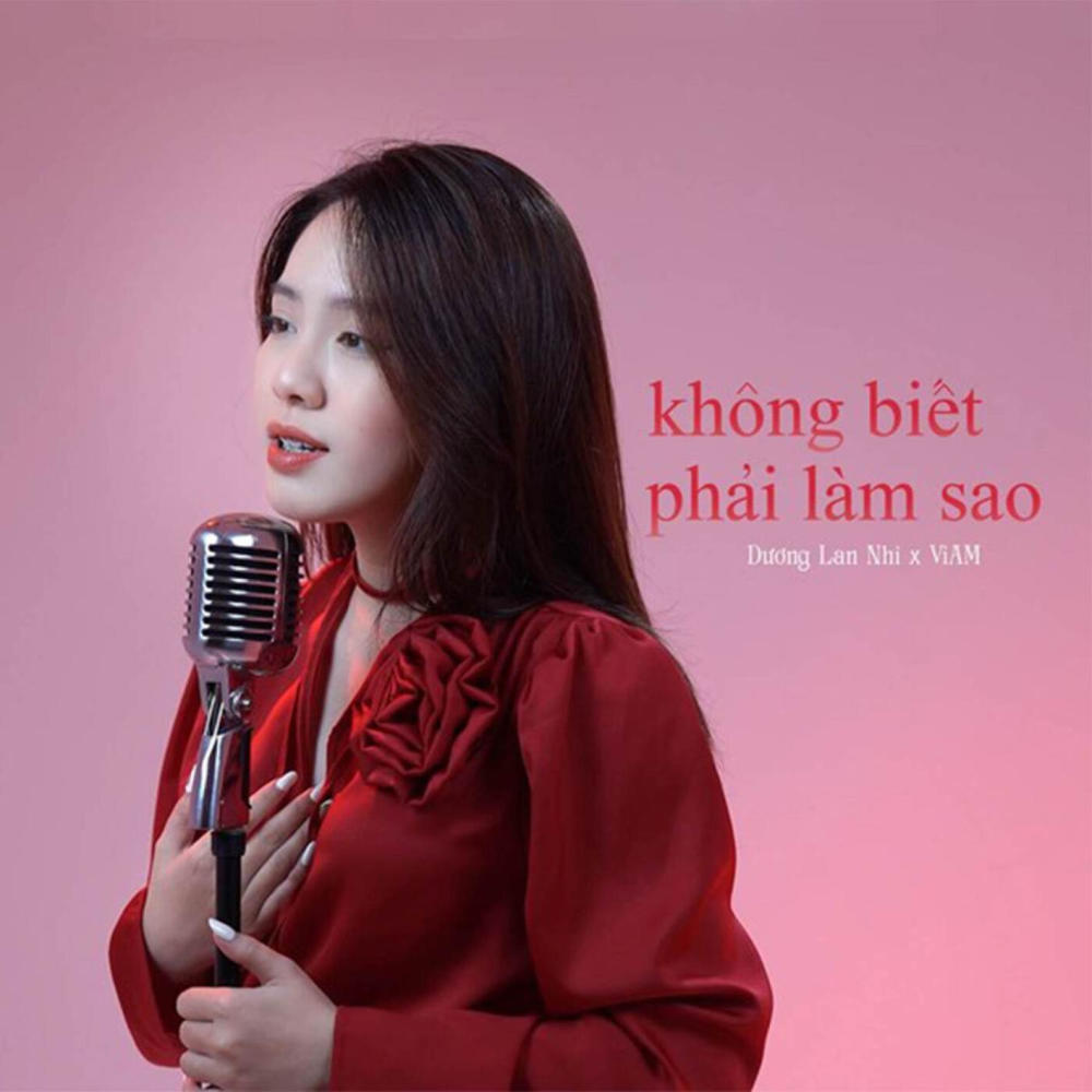 Không Biết Phải Làm Sao (L Zic Lofi)