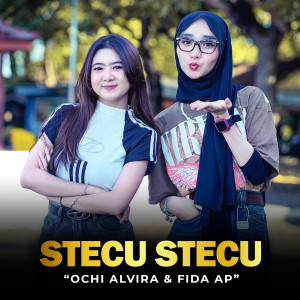 Album Stecu Stecu from Ochi Alvira