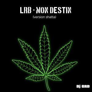 收聽Dj Grd的LRB (Mon Destin  (Version remix shatta)歌詞歌曲