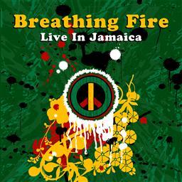ดาวน์โหลดและฟังเพลง Conscious Party พร้อมเนื้อเพลงจาก Ziggy Marley