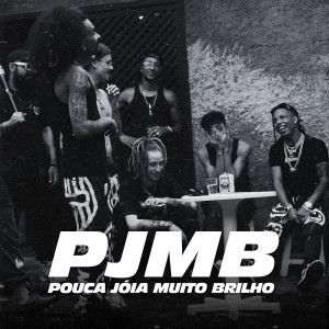 Various Artists的專輯Pouca Joia Muito Brilho (Explicit)