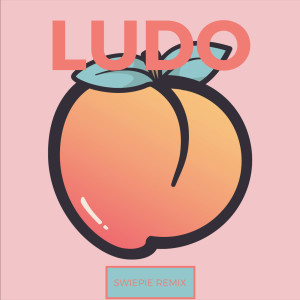 Listen to Swiepie (Ludo Remix) (Explicit) (Ludo Remix|Explicit) song with lyrics from Verdwaald Model