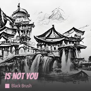 Dengarkan Is Not You lagu dari Black Brush dengan lirik