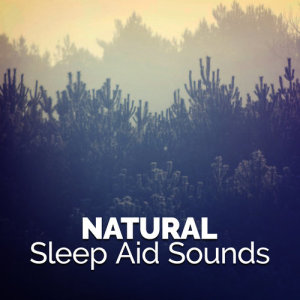 收聽Deep Sleep Nature Sounds的Wetland Birds歌詞歌曲