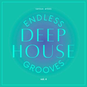 Various Artists的专辑Endless Deep-House Grooves, Vol. 4 (Explicit)