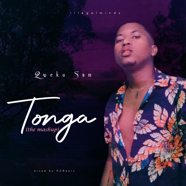 Album Tonga (The Mashup) from Qweku Sam