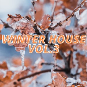 Album Winter House Vol.3 from Various Artists