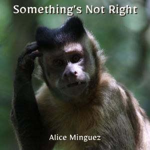 Album Something's Not Right from Alice Minguez