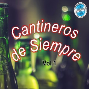 Listen to Noches Eternas song with lyrics from Libardo Alvarez