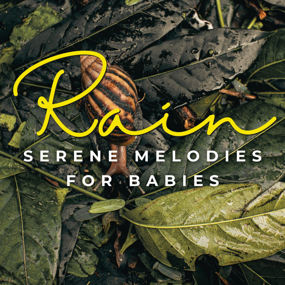 Dreamy Rain lullabies