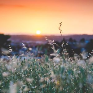 Dengarkan lagu Zen nyanyian Sleep Sounds of Nature dengan lirik