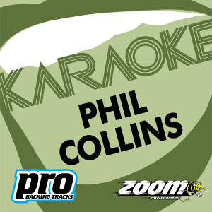 收聽Collins的Another Day In Paradise (In The Style Of 'Phil Collins')歌詞歌曲