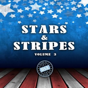 ดาวน์โหลดและฟังเพลง Battle Hymn of the Republic พร้อมเนื้อเพลงจาก Tami Briggs