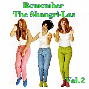 收聽The Shangri-Las的I Can Never Go Home Anymore歌詞歌曲