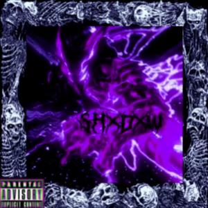 Album DXSTRXY from SHXDXW