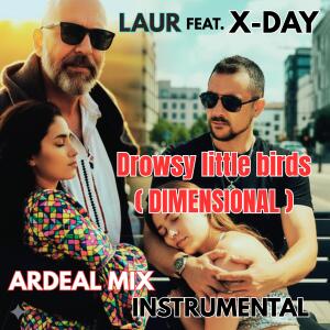收聽Laur的Drowsy Litttle Birds (feat. X-Day) (Dimensional Instrumental)歌詞歌曲