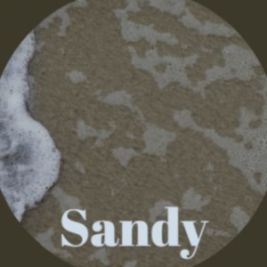 ดาวน์โหลดและฟังเพลง Sandy พร้อมเนื้อเพลงจาก Sandy Nelson