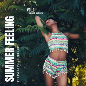 Listen to Deja-Vu song with lyrics from Paulsen & Stryczek