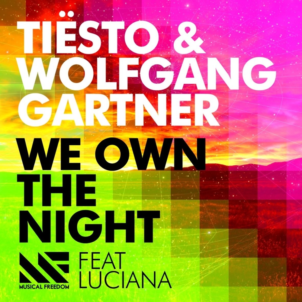 We Own the Night (Original Mix)