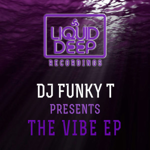 Dengarkan Can't Go lagu dari DJ Funky T dengan lirik