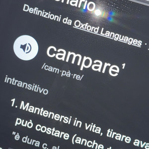 Listen to CAMPARE (Explicit) song with lyrics from Nyno
