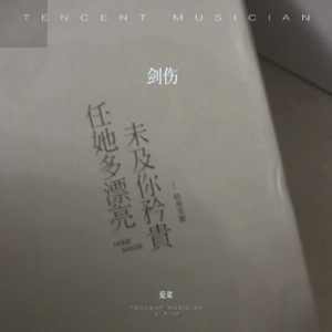 Album 剑伤 from 爱菜