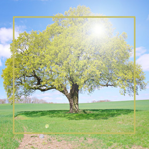 收聽The Piano Piece的Music For You When You Need Some Alone Time歌詞歌曲