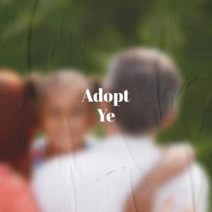 Various的专辑Adopt Ye