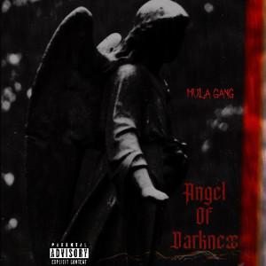 Listen to Angel of Darkness (Explicit) song with lyrics from Mula Gang