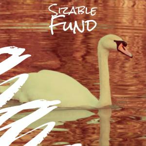 ดาวน์โหลดและฟังเพลง Sizable Fund พร้อมเนื้อเพลงจาก Parna