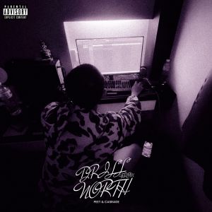 Listen to DRILL FROM NORTH, Pt. 1 (Explicit) song with lyrics from Peet