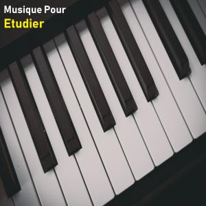 Musique Pour Étudier的專輯Musique Calme Pour Etudier
