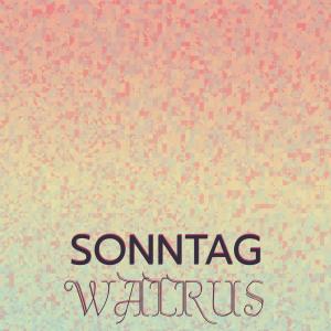 Various的专辑Sonntag Walrus