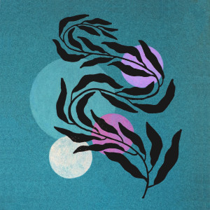 ดาวน์โหลดและฟังเพลง Tora พร้อมเนื้อเพลงจาก Nomadic