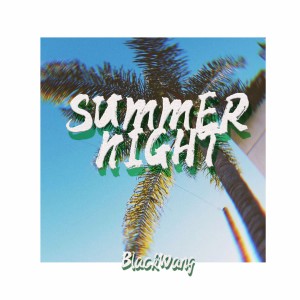 Listen to Summer Night song with lyrics from 王向黎