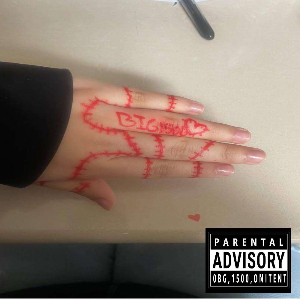 DISAPPOINTEDSHIT!!!!!/DBSB5 (feat. Veohuh) (Explicit)