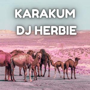DJ Herbie的專輯karakum