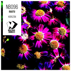 ดาวน์โหลดและฟังเพลง Horizon (Original Mix) พร้อมเนื้อเพลงจาก Rautu